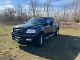 Ford F 150 - gebrauchte Ford F 150 aus dem Jahr 2004