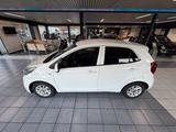 Kia Picanto Dream Team - Kia Picanto Gebrauchtwagen in Köln