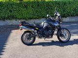 Triumph Tiger T709 885i - TRIUMPH 2000