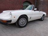 Alfa Romeo Spider 2x2 1,6 Junior aus 74 im... - Alfa Romeo Spider: 1.6