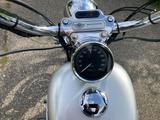 Harley-Davidson Sportster Custom 883-Jubiläumsmodell 100 Jahre - HARLEY-DAVIDSON SPORTSTER 883 CUSTOM