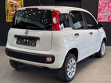 Fiat Panda Easy*Twinair Natural Power Easy*Benzin/GAS - Fiat Panda in Köln