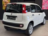 Fiat Panda Easy*Twinair Natural Power Easy*Benzin/GAS - Fiat Panda in Leverkusen