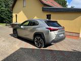 Lexus UX 250h Style Edition  - Lexus UX: Automatik