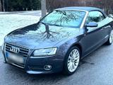 Audi A5 Cabrio-Checkh.-S Line-Top Ausstattung-HU neu! - Audi A5 aus 2009: Cabrio