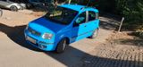Fiat Panda 1,2 8v Gingo - Fiat Panda aus 2003