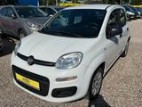 Fiat Panda Pop *ALLWR*74TKM*Klima* TÜV Neu - Fiat Panda Gebrauchtwagen