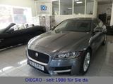 Jaguar XF 2.0 d R-Sport * Automatik * Panoramadach * - Jaguar XF mit Diesel-Antrieb: 2.0