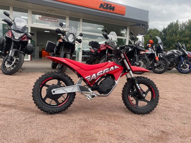 Gasgas MC-E2 MY25