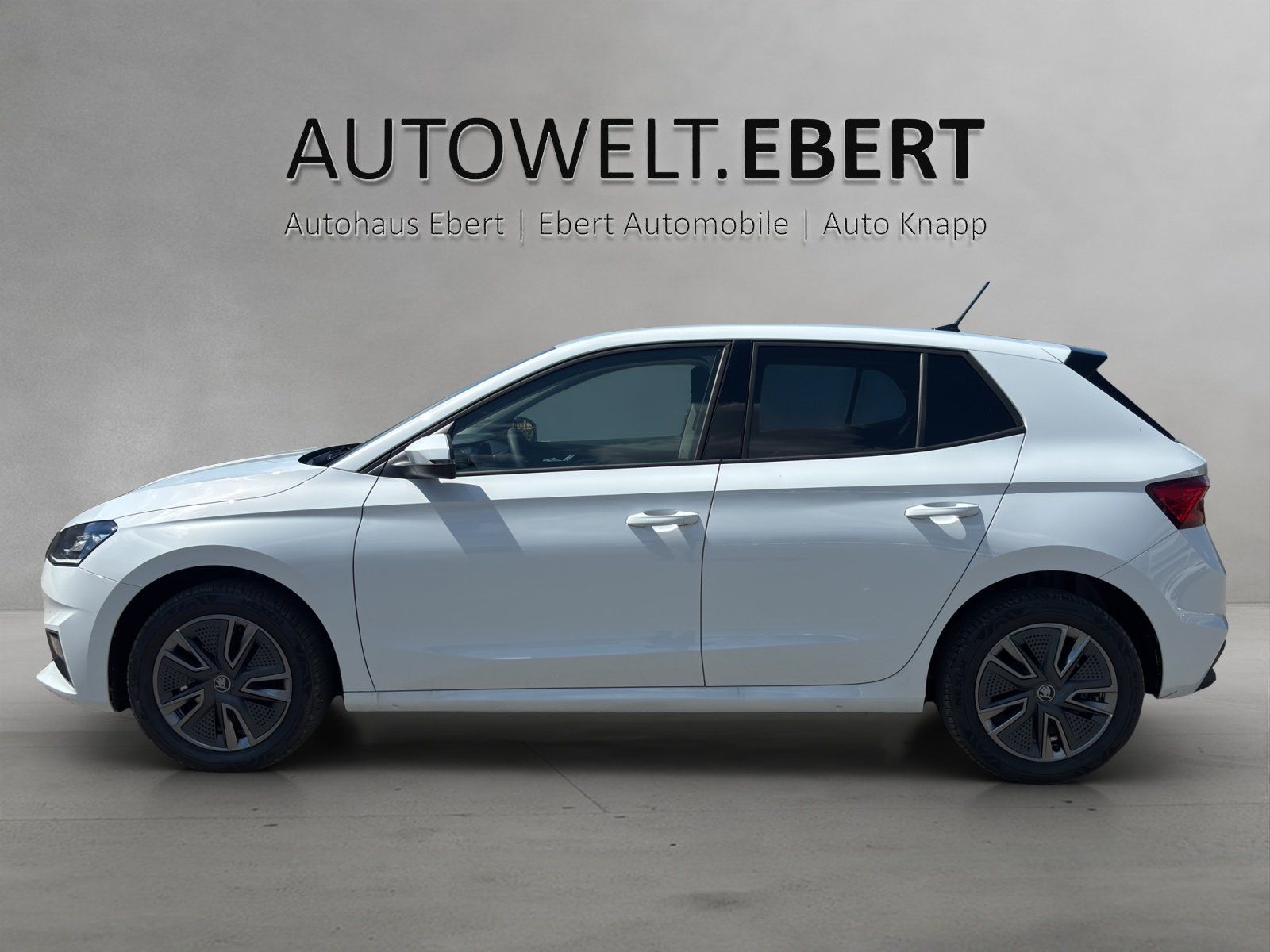 Fahrzeugabbildung SKODA Fabia Balance 1,0 TSI 85 kW DSG MATRIX/CarPlay