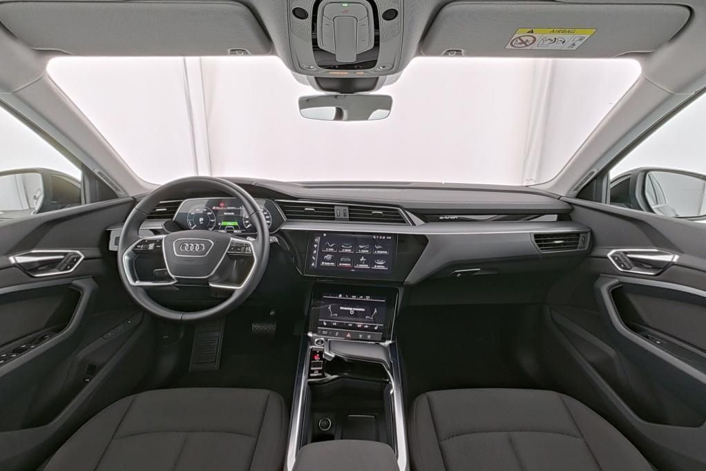Audi e-tron Basis quattro 50 230kW AHK*RFK*PDC*Tempo