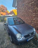 Volkswagen Lupo 1.0 FAHRBEREIT - graue Volkswagen Lupo