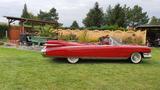 Cadillac Eldorado Biarritz - Cadillac Eldorado von privat