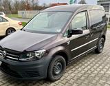 Volkswagen Caddy 2,0TDI 75kW BMT Edition 35 5-Sitz Edit... - Volkswagen Caddy: Edition