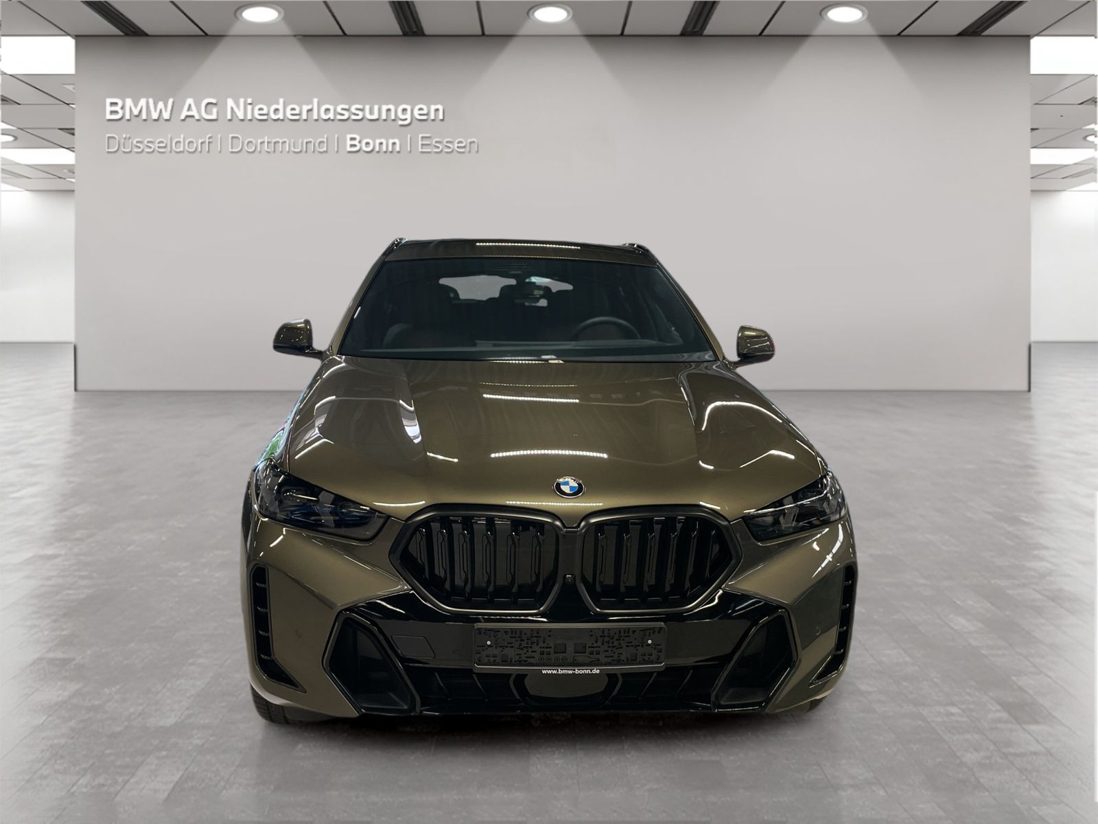 BMW X6 - Bild 8
