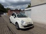 Fiat 500 Lounge TÜV NEU*CABRIO*PERLEFFEKT*S.HEFT - Fiat 500 Gebrauchtwagen in Essen