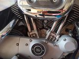 Harley-Davidson Sportster 1200 R - Offers matching your search criteria