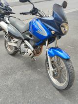 Suzuki XF 650 Freewind - SUZUKI FREEWIND