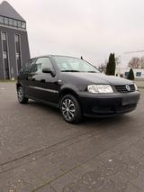 Volkswagen VW Polo 6N 1.4L 8-fach bereift - Volkswagen Polo aus 2002: 1.6