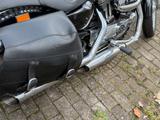 Harley-Davidson Sportster XL1200 Low - Angebote