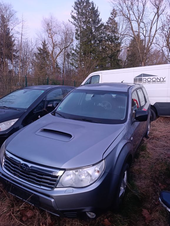 Angebot ansehen Subaru Forester