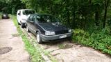 Volkswagen VW Passat 35i 2.0 Syncro  TÜV NEU - gebrauchte VW Passat aus dem Jahr 1991