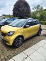 Smart ForFour - Gelb-Gold/Schwarz 2.Hand