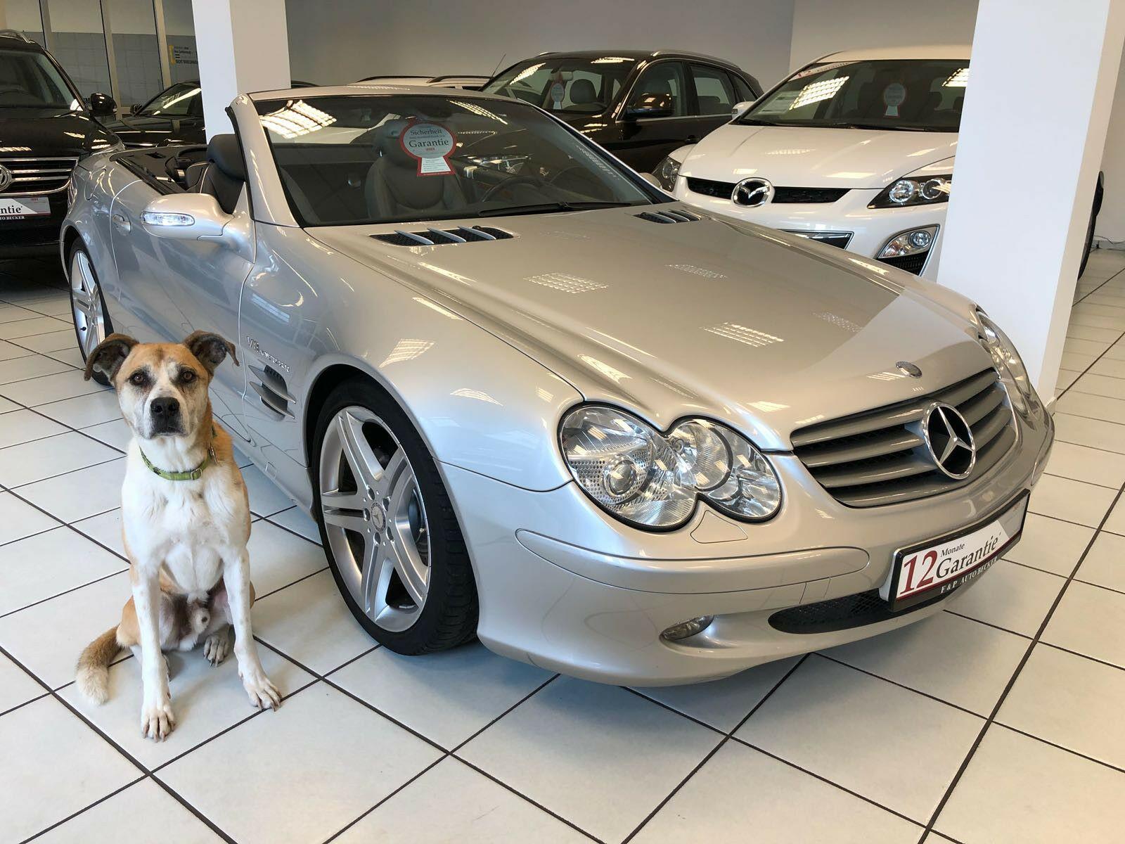 showroom-image-top