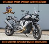 Harley-Davidson RA1250 MY22 Pan America Standard - Offers matching your search criteria