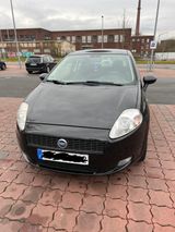 Fiat Punto 1.9 - 170PS - 1 Fahrzeughalter - Fiat Grande Punto: 1.9