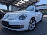 Volkswagen Beetle Sport  2.0 TDI Aut. Leder Navi Kamera LED - Volkswagen Beetle Sport mit Diesel-Antrieb