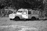 Land Rover Serie III (Santana Especiale Serie 3 - Rarität) - Land Rover Serie III Diesel Gebrauchtwagen