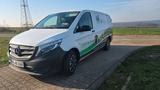 Mercedes-Benz Vito Hundetransporter/ Mini Camper