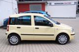 Fiat Panda 1.2 8V Classic - Fiat Panda: Gelb