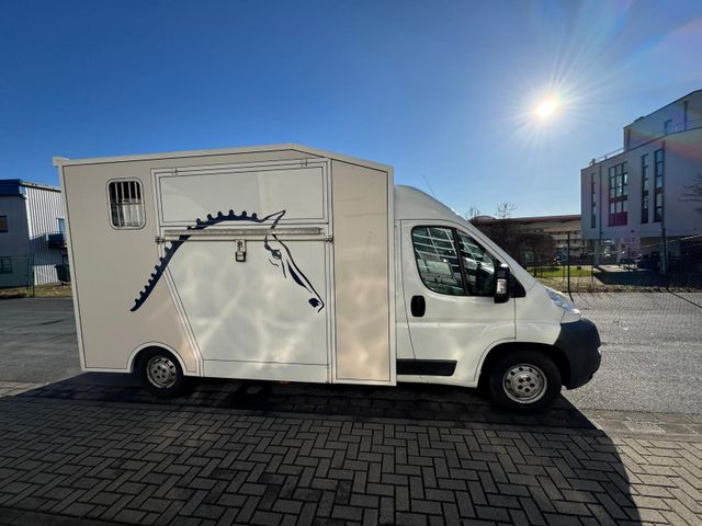 Fiat Ducato Pferdetransporter 2.500 Kg Leergewicht!