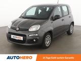 Fiat Panda 1.0 Mild-Hybrid*SHZ*KLIMA*DAB* - gebrauchte Fiat Panda aus dem Jahr 2021