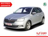 Skoda Fabia 1.0 Ambition ACC Freisprechanlage Klima - Skoda Fabia: Kleinwagen