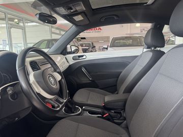 Volkswagen Beetle - 5