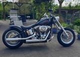 Harley-Davidson Softail Custom, Thunderbike-Umbau  - Offers matching your search criteria