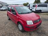 Fiat Panda 1.2 8V Dynamic - Fiat Panda Gebrauchtwagen in Münster