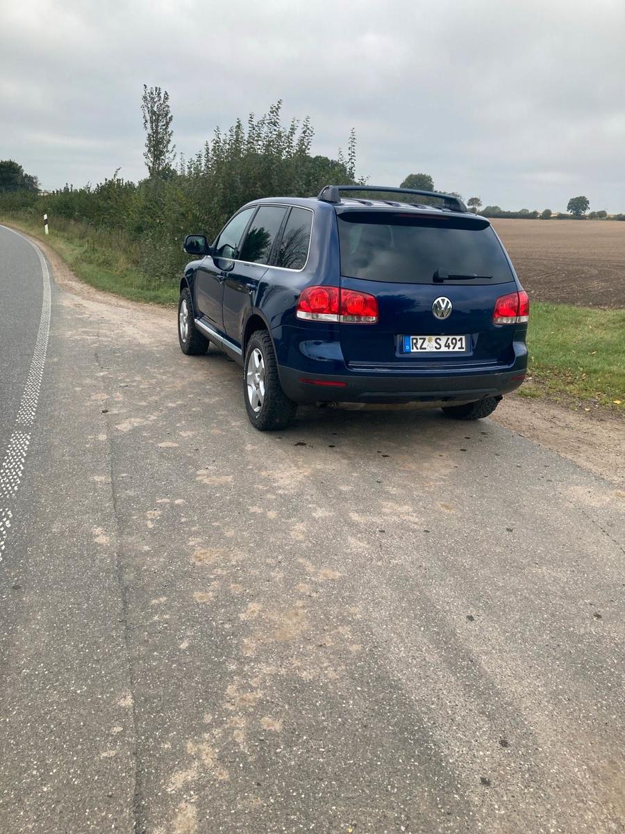 Volkswagen Touareg 2005 — rear view