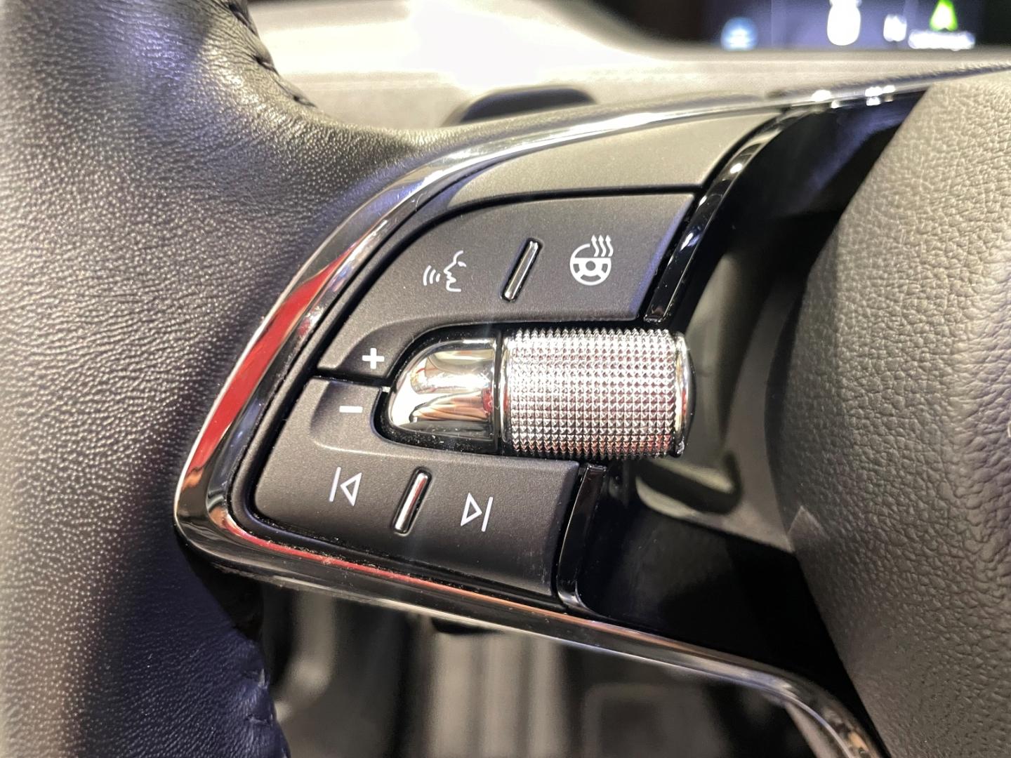 Skoda Enyaq 80 Loft Teilleder Navi LED ACC Rückfahrkam