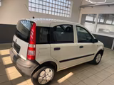 Fiat Panda 1.1 8V Active - Fiat Panda Gebrauchtwagen in Dortmund