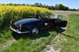 Alfa Romeo Giulia Spider 1600 Typ 101.23 restauriert - Alfa Romeo Spider 1600 Gebrauchtwagen