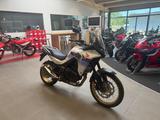 Honda XL750 Transalp *beschädigt* - HONDA XL750 TRANSALP