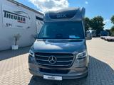 Mercedes-Benz STX Sprinter  3.500KG  Haras Hengste
