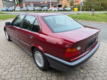 BMW 316 - 6