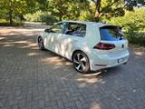 Volkswagen Golf 7 GTI DSG Performance  - Volkswagen Golf: G7