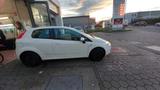 Fiat Grande Punto - Fiat Grande Punto in Essen