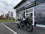 Triumph Tiger 900 Alpine Edition Akrapovic-Lager - Triumph Tiger 900 Alpine Edition